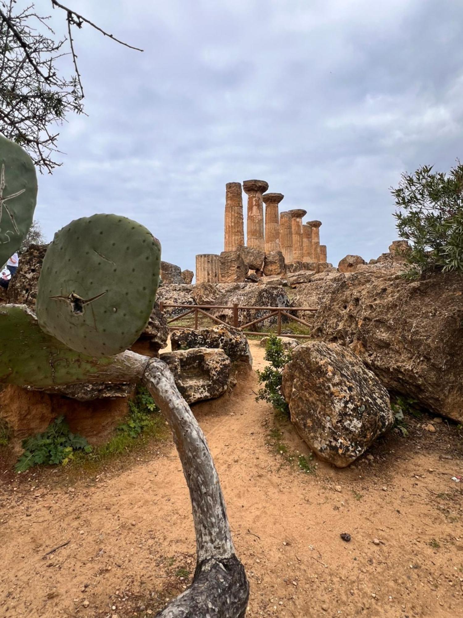 La Casa Di Fili Daire Agrigento Dış mekan fotoğraf